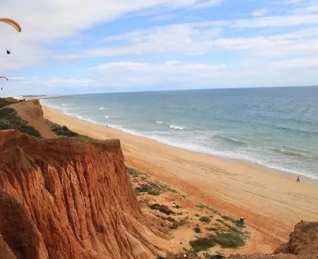 Studio Arbore Avec Piscine Albufeira