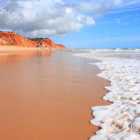 Studio Arbore Avec Piscine * Albufeira